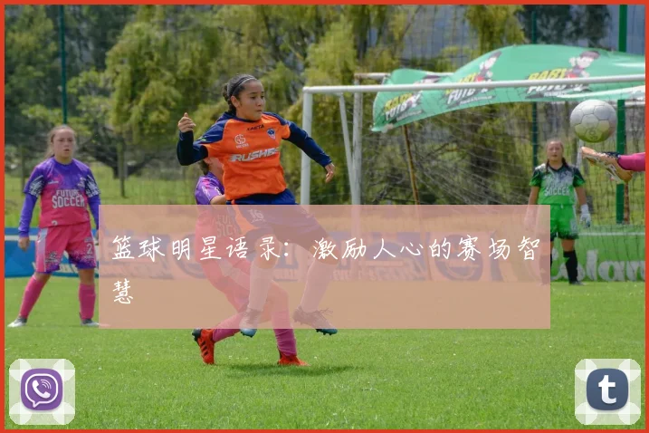 篮球明星语录:激励人心的赛场智慧